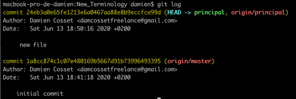 Git log on principal branch